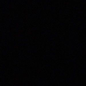 Meet your Posher, Lupe